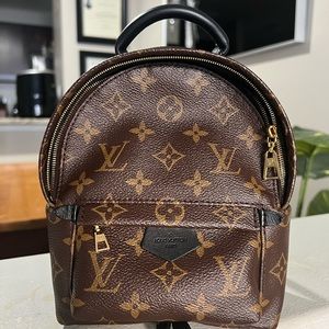 Louis Vuitton Palm Springs mini